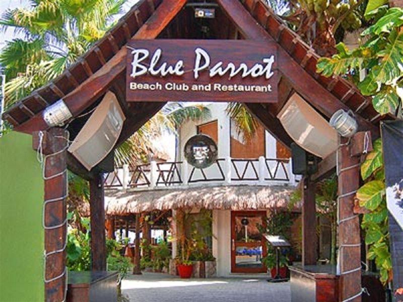 Blue Parrot Suites 普拉亚卡门 外观 照片