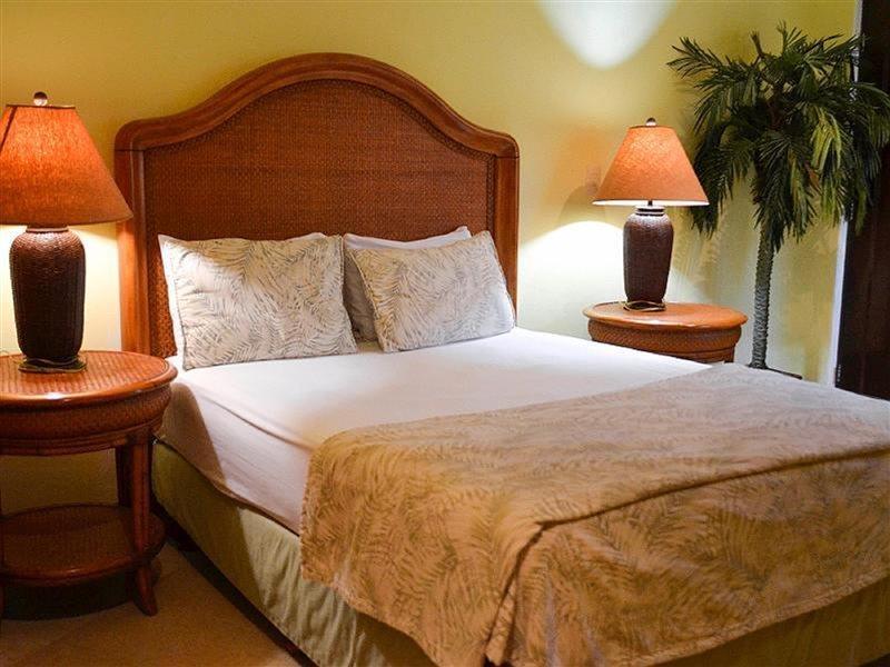 Blue Parrot Suites 普拉亚卡门 外观 照片