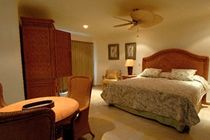 Blue Parrot Suites 普拉亚卡门 外观 照片
