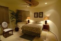 Blue Parrot Suites 普拉亚卡门 外观 照片